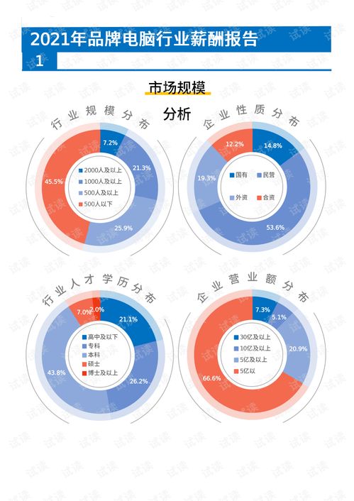 2021年薪酬報告 高科技互聯(lián)網(wǎng)品牌電腦行業(yè)薪酬調(diào)查與計(jì)算機(jī)技術(shù)咨詢發(fā)展分析